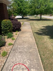 Concrete sidewalk bordered by shrubs and grass, with some patchy discoloration and a red hose at the bottom edge.