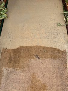 A concrete sidewalk shows a distinct clean section being washed, contrasting with the remaining dirty surface.